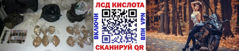 Лсд 25 экстази ecstasy  Купить  Канаш 