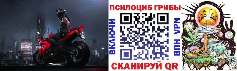 Галлюциногенные грибы мицелий  Купить  Канаш 